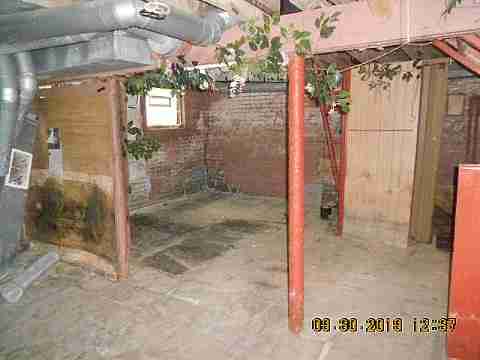 5381 Linsdale (17)_m.jpg